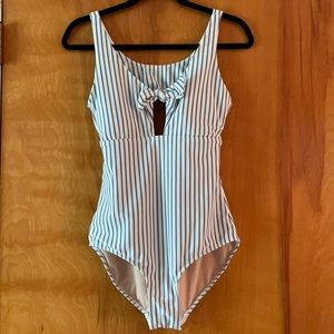 Blue stripe Albion one piece swimsuit